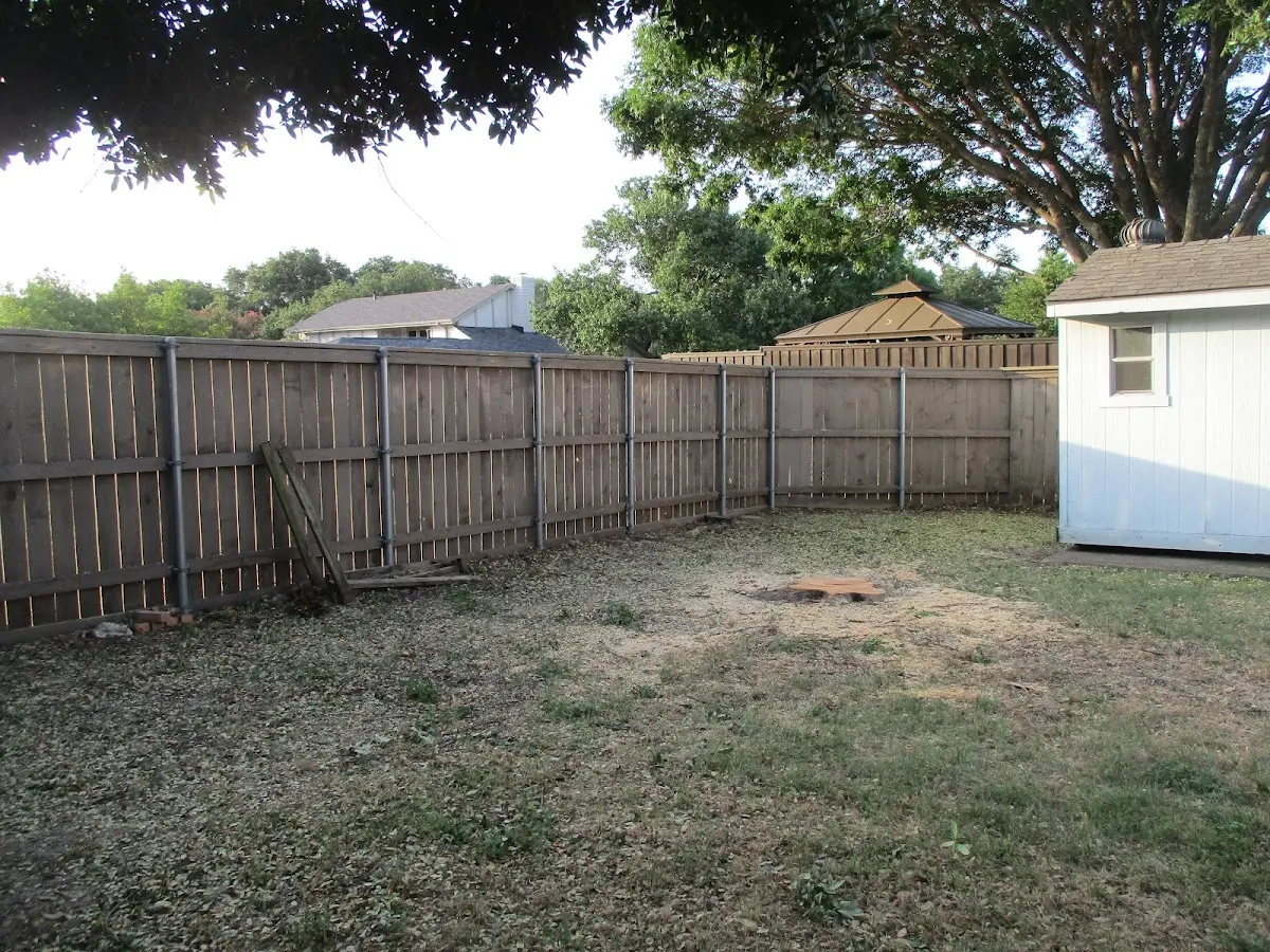 Cleared yard after professional tree removal in Hines